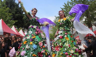 İZMİR BAYINDIR ÇİÇEĞİ FESTİVALİ