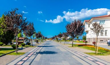 GÜNÜBİRLİK YALOVA İZNİK TURU