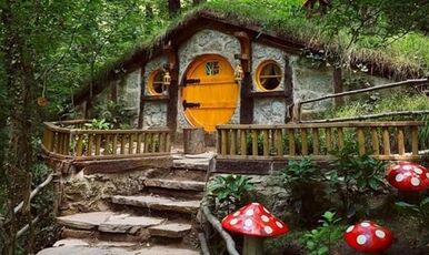 SAPANCA MAŞUKİYE ORMANYA TURU