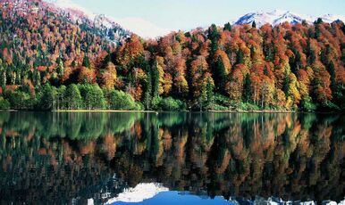 KARADENİZ YAYLALAR VE BATUM TURU