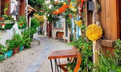 ALAÇATI OT FESTİVALİ