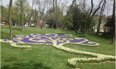 LALE FESTİVALİ EMİRGAN KORUSU-PİERRE LOTİ-EYÜP SULTAN-EMİNÖNÜ