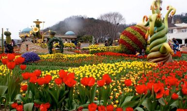 LALE FESTİVALİ EMİRGAN KORUSU-PİERRE LOTİ-EYÜP SULTAN-ORTAKÖY