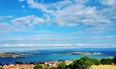 İZMİR BAYINDIR ÇİÇEĞİ FESTİVALİ