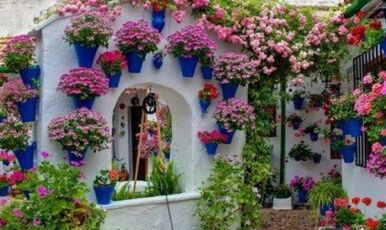 İZMİR BAYINDIR ÇİÇEĞİ FESTİVALİ